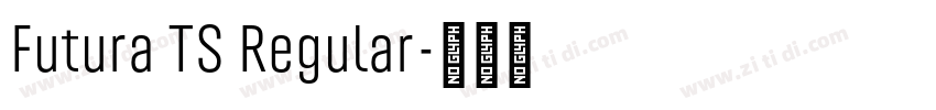 Futura TS Regular字体转换 Futura TS Regular字体转换